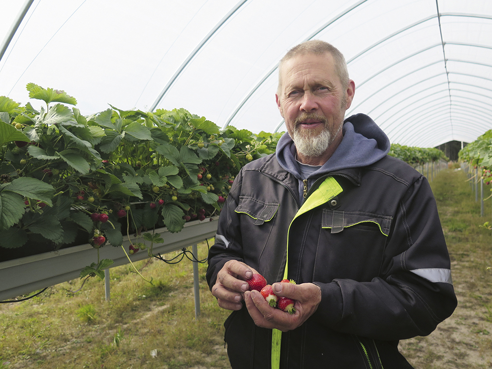 kankaanpera-markku_netti