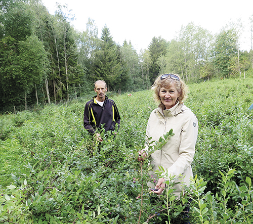 nannikki_ja_pekka_ollila_2018