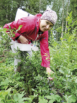 NOllilan Marjatila Olena Lebediuk