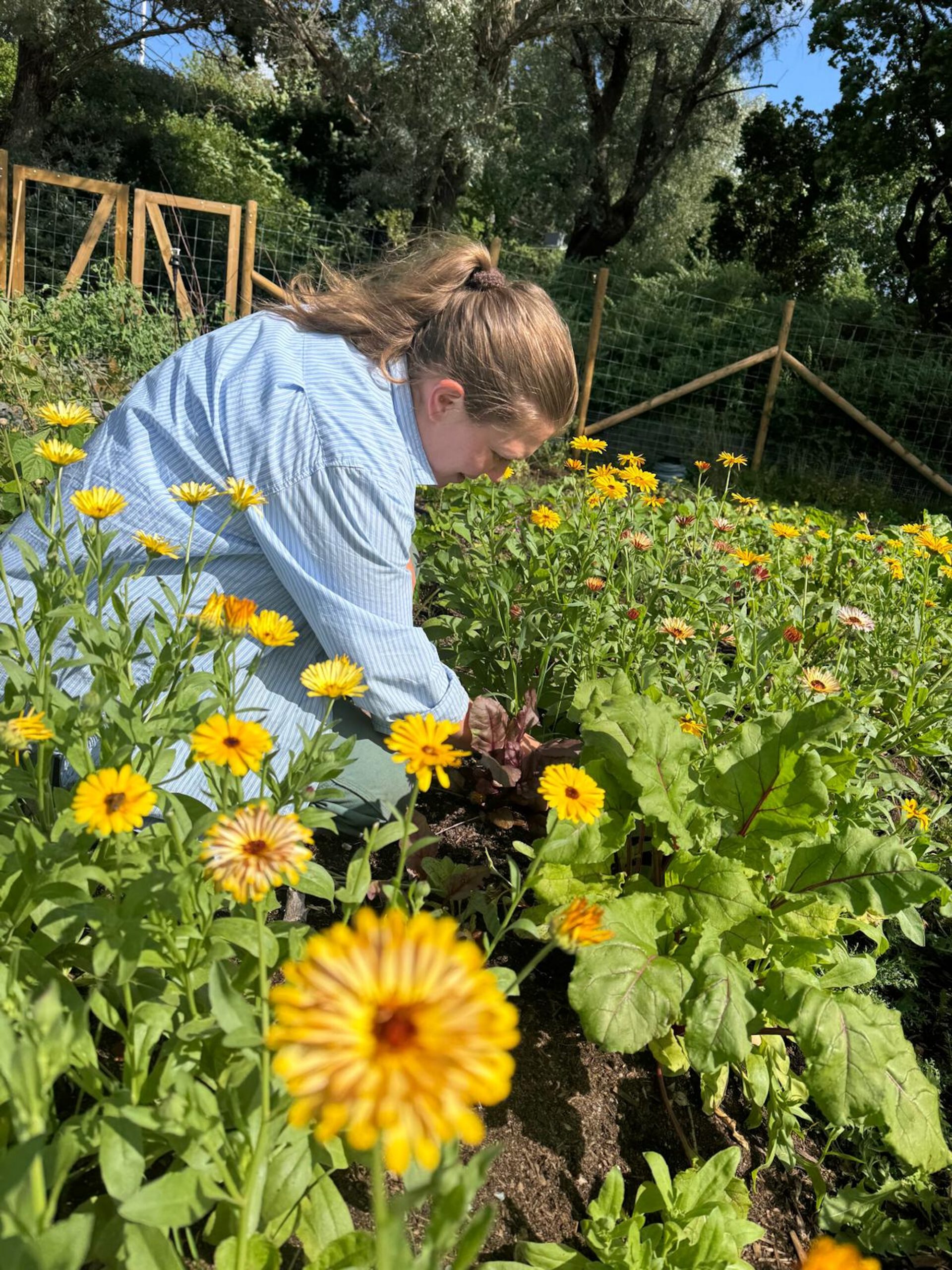 PHOTO-2025-12-19-09-50-58