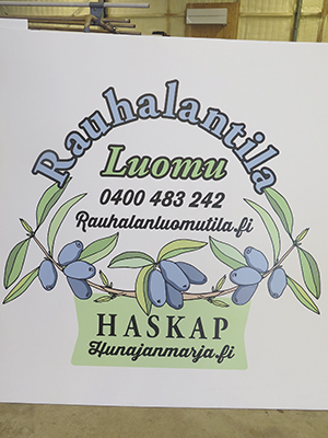 Markkinointi Sipponen