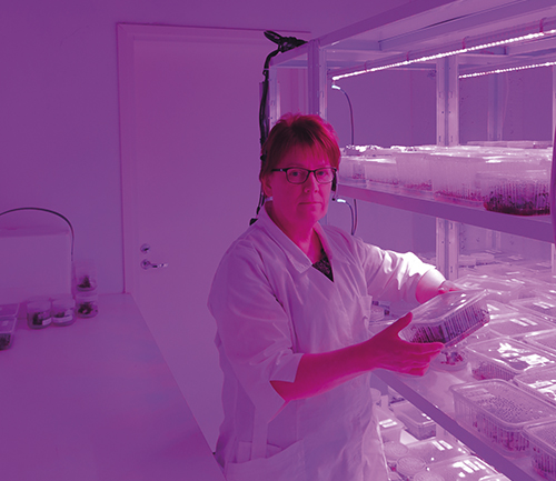 tiina_nyman_kasvatus