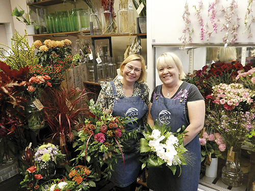 toivonen_ja_sokka_-_1