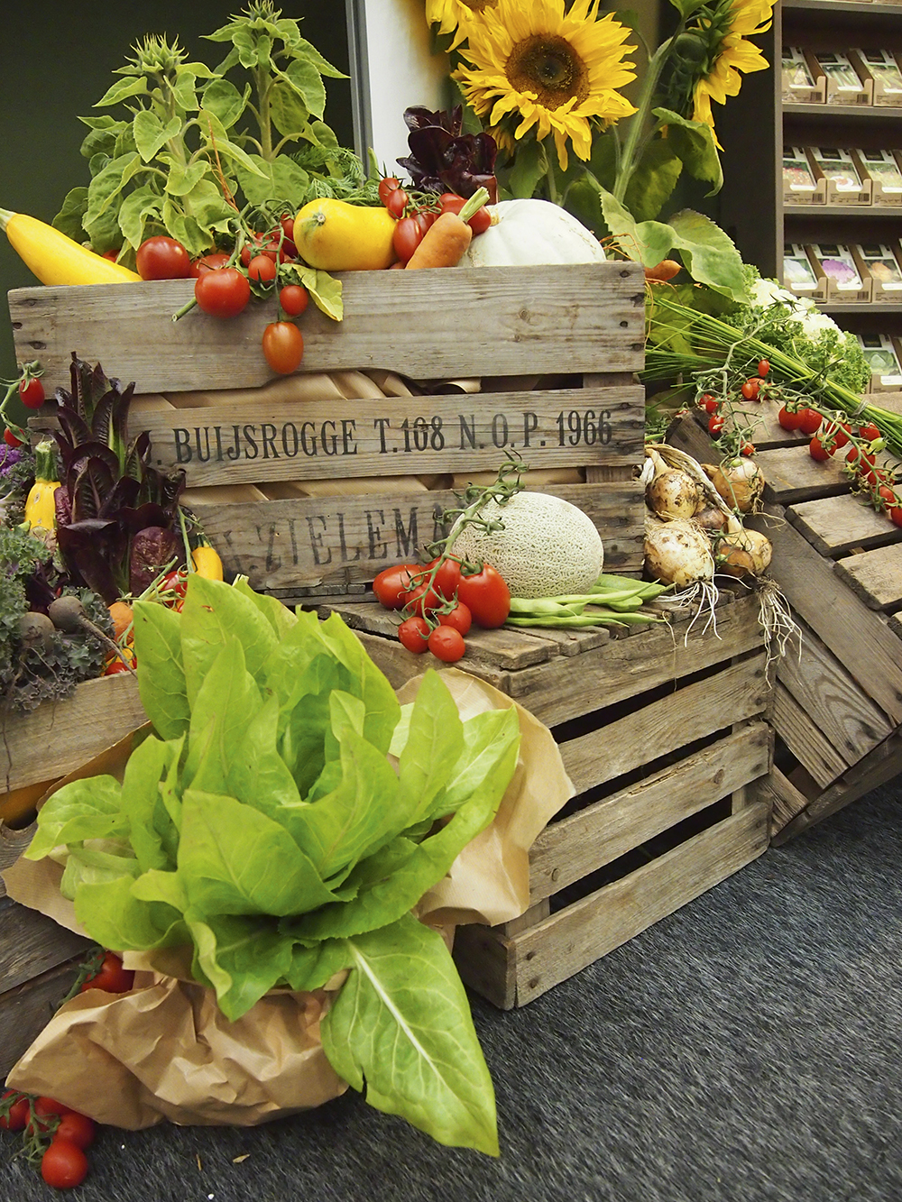 olympus-digital-camera-73