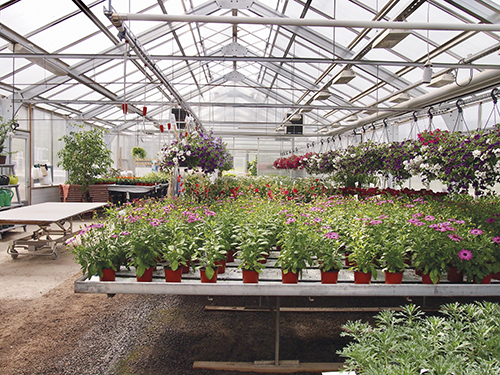 olympus-digital-camera-21