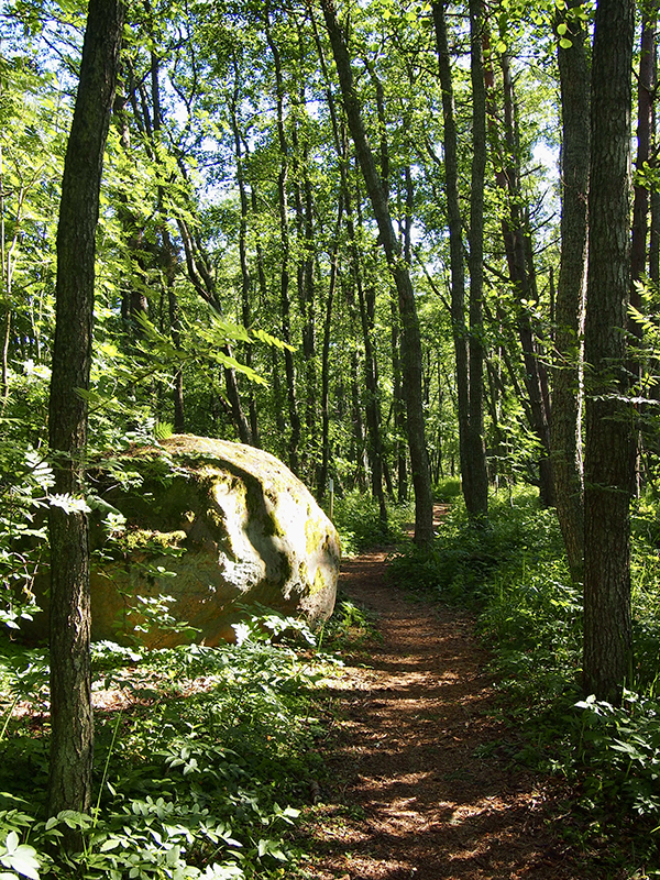 olympus-digital-camera-9