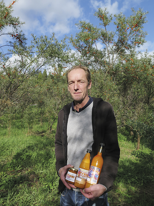 nethietanen_jarkko_2019