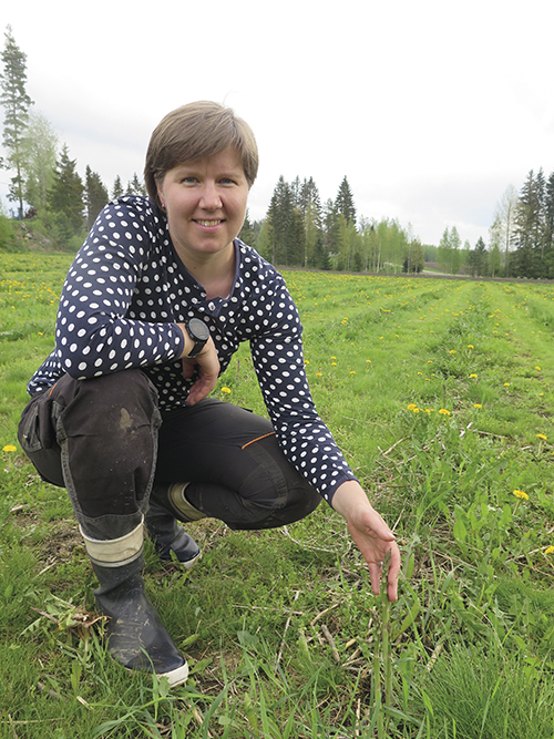 nettiinkukkonen_saara