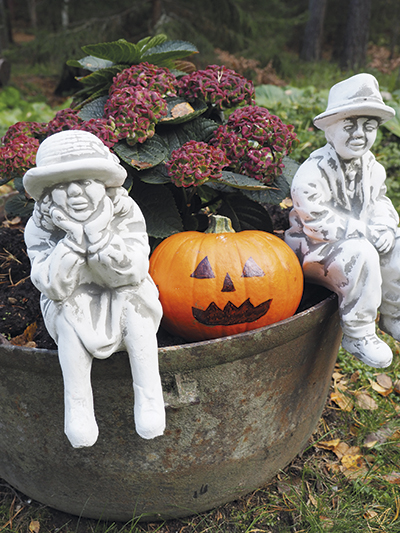 olympus-digital-camera-37