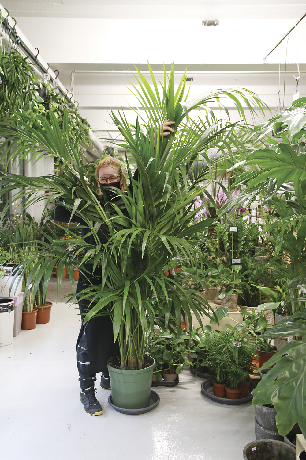 palmukitta_urbangreen