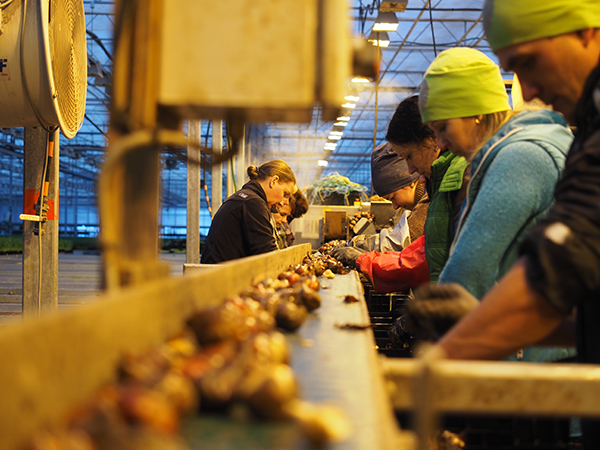 olympus-digital-camera-10