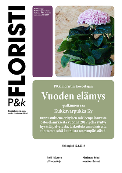 pieni vuoden elamys2017