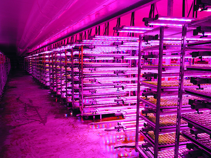 olympus-digital-camera-33