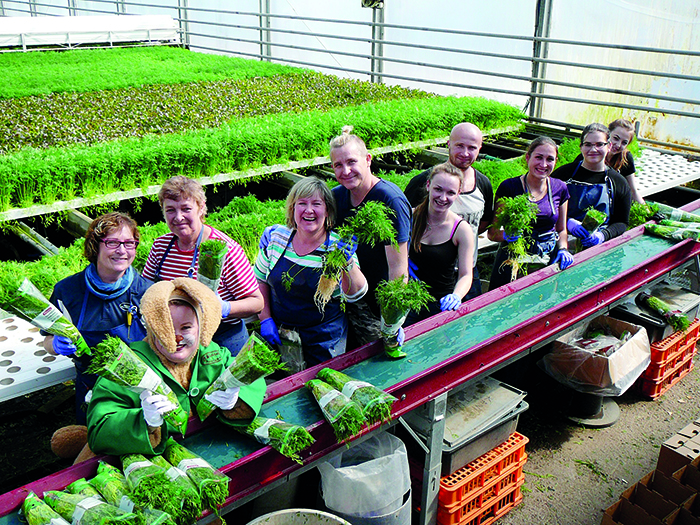 ryhmis_tillihuoneessa_-_1