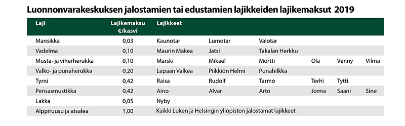 taulukko lajikkeet2019